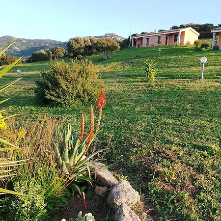 Gli Olivastri -appartamento Bel Con Piscina ,solarium E Vista Mare,climatizzatore ,wifi Feriehus