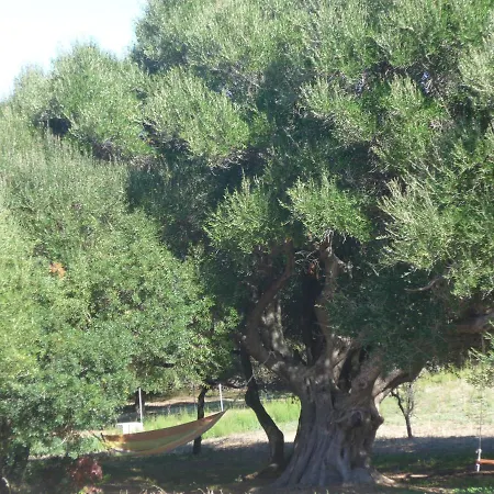 Gli Olivastri -appartamento Bel Con Piscina ,solarium E Vista Mare,climatizzatore ,wifi Nyaraló *