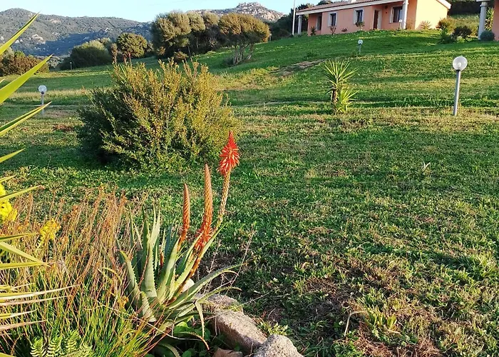 Gli Olivastri -appartamento Bel Con Piscina ,solarium E Vista Mare,climatizzatore ,wifi Nyaraló