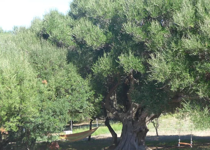 Gli Olivastri -appartamento Bel Con Piscina ,solarium E Vista Mare,climatizzatore ,wifi Nyaraló *