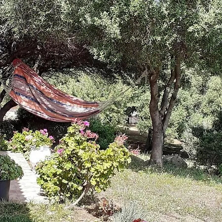 Gli Olivastri -appartamento Bel Con Piscina ,solarium E Vista Mare,climatizzatore ,wifi *