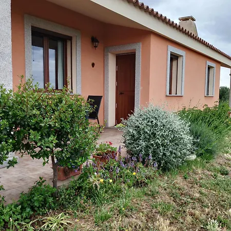 Gli Olivastri - Casa Ginestre Casa vacanze Aglientu