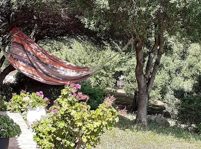 Gli Olivastri -appartamento Bel Con Piscina ,solarium E Vista Mare,climatizzatore ,wifi *