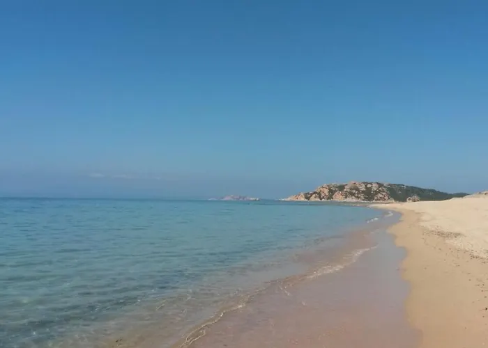 Gli Olivastri -appartamento Bel Con Piscina ,solarium E Vista Mare,climatizzatore ,wifi